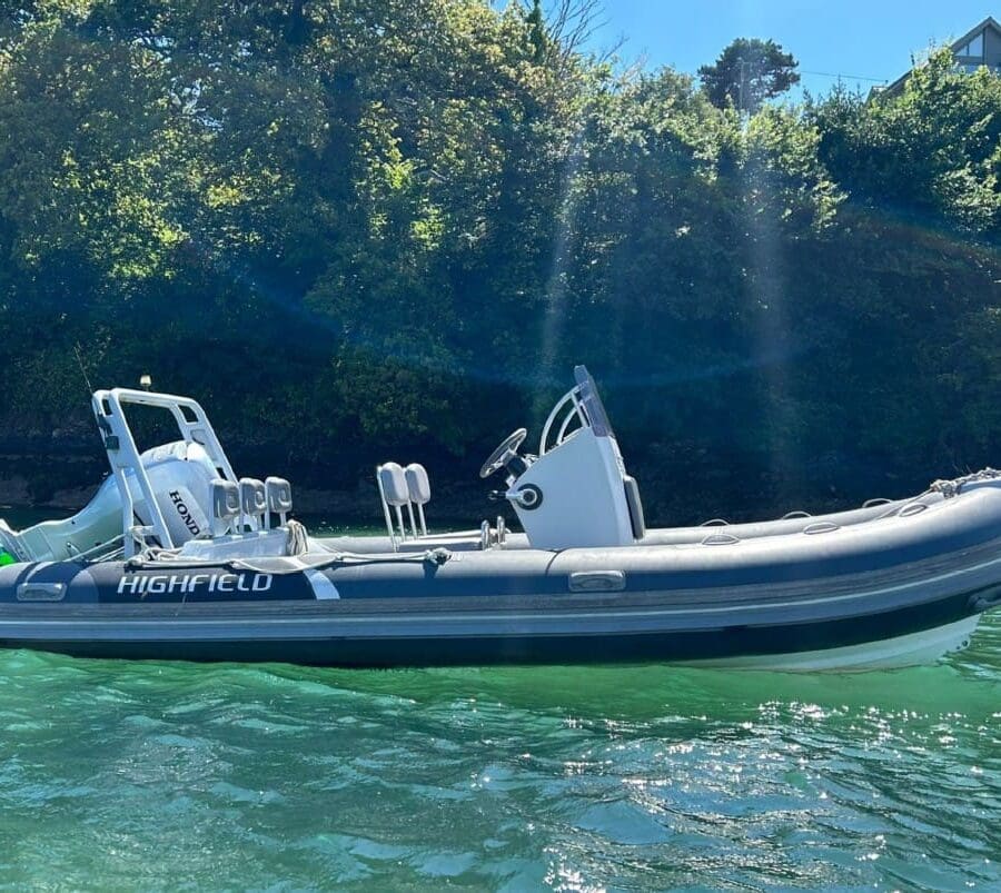 2015 Highfield Ocean Master 540 With Honda 100HP