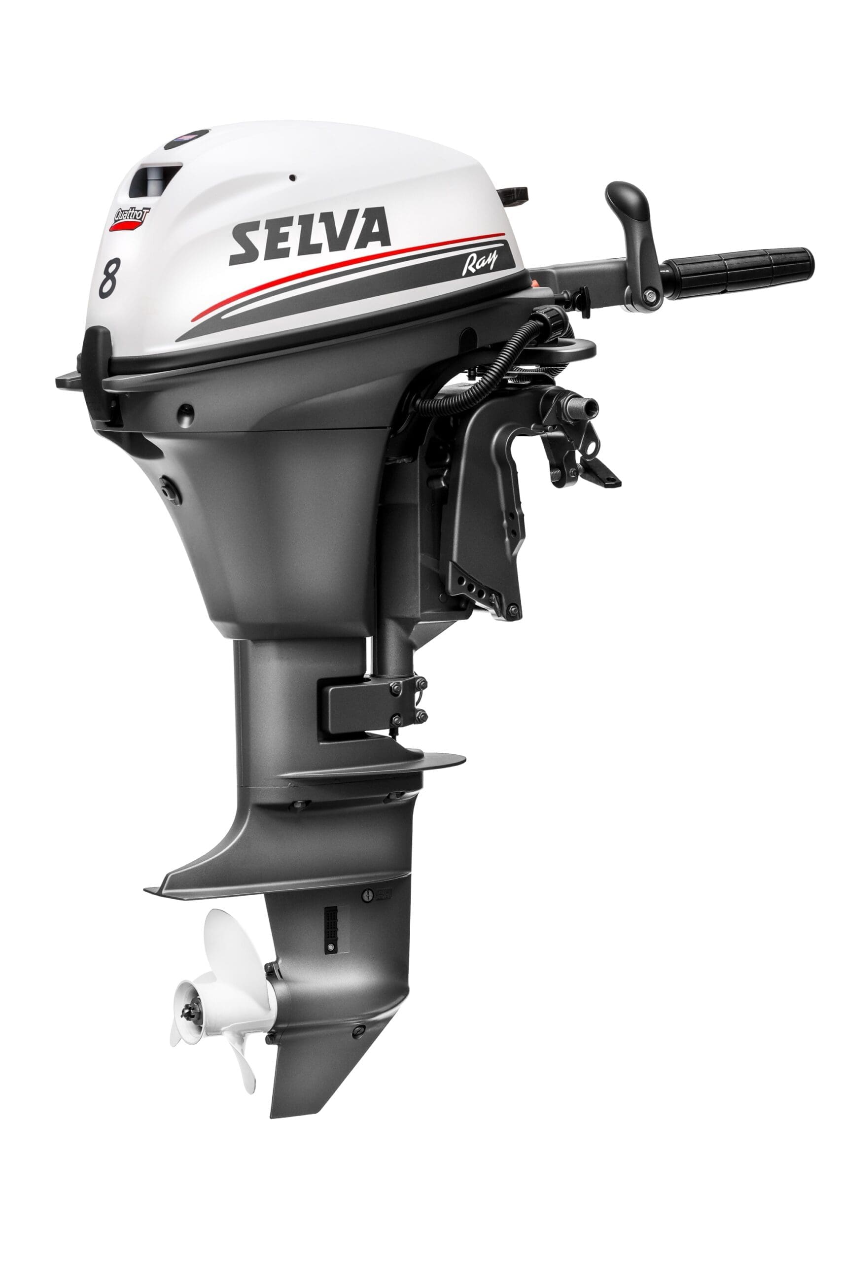 Selva Ray 8